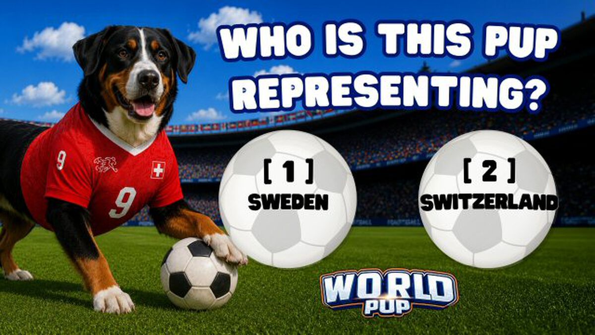 World Pup image number null